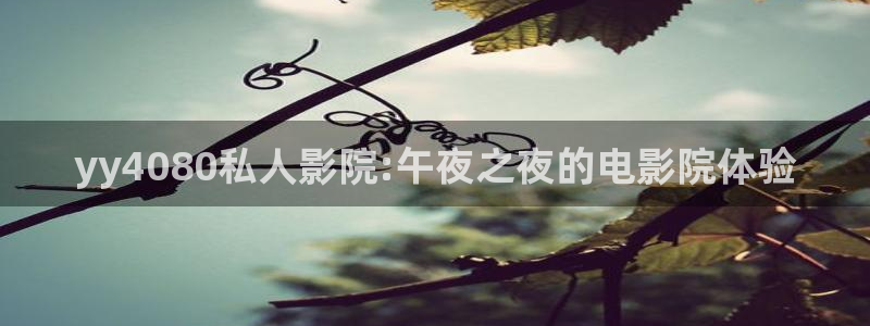 星空电影网站在线观看完整