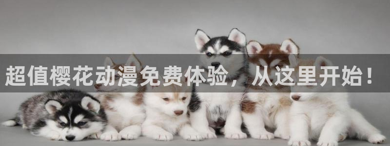 八戒麻豆电影