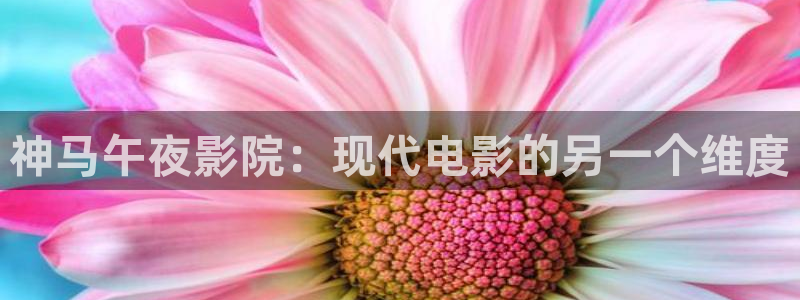 星空影视老版