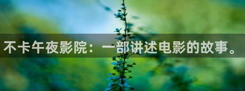 麻豆电影大全在线观看免费观看电视