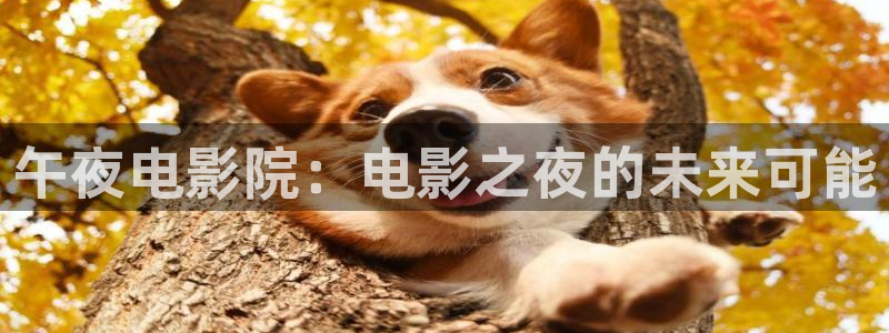 麻豆电影在线播放观看视频