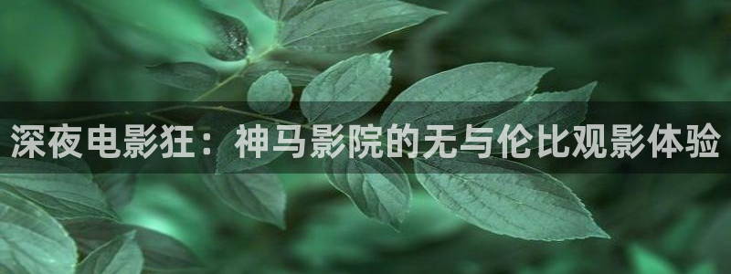 麻豆电影在线电视剧免费看