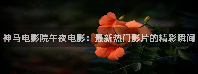 星空视频在线免费观看