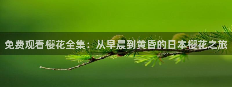 沉香如屑麻豆电影免费观看完整版