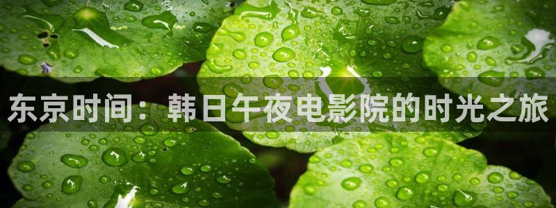 下载星空影视