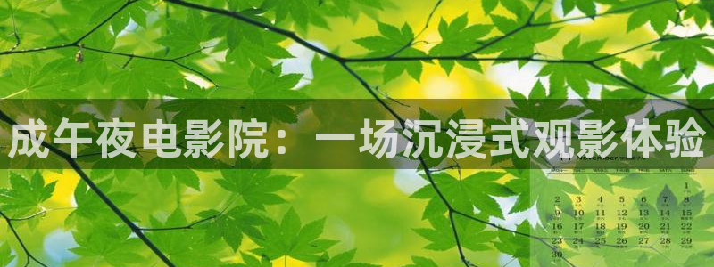 麻豆电影免费播放的电视剧