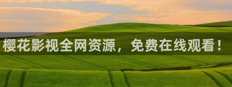 麻豆电影免费观看电视剧在线观看
