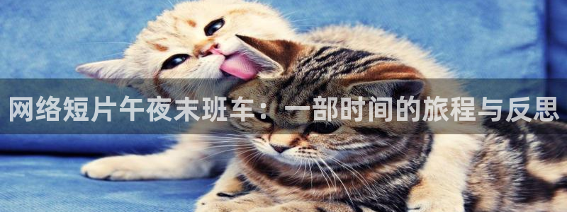 麻豆电影电视剧免费大全最新