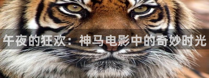 麻豆电影电视剧大全