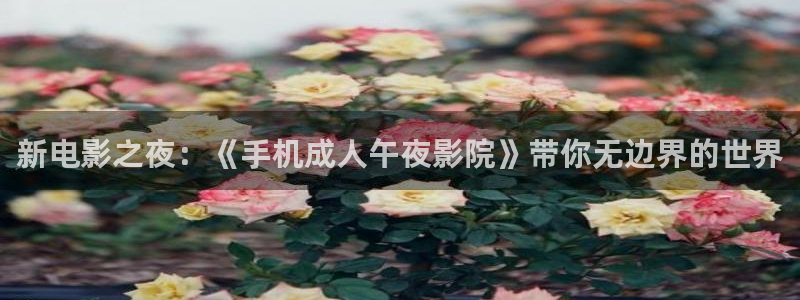星空影城影讯
