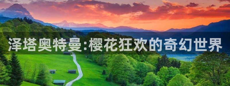 星空在线高清免费完整观看