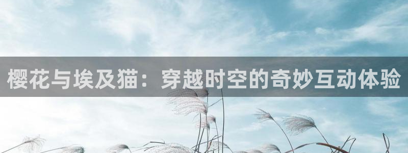 星空无限传媒观看