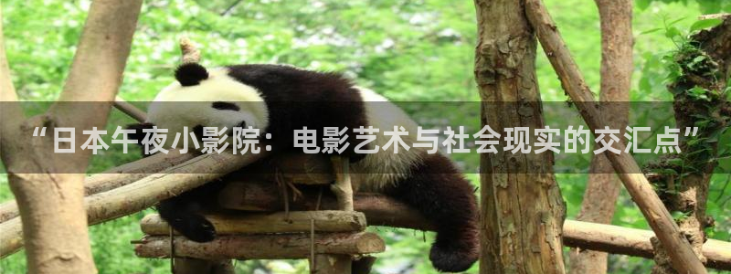 星空无痕mv电影在线观看免费视频