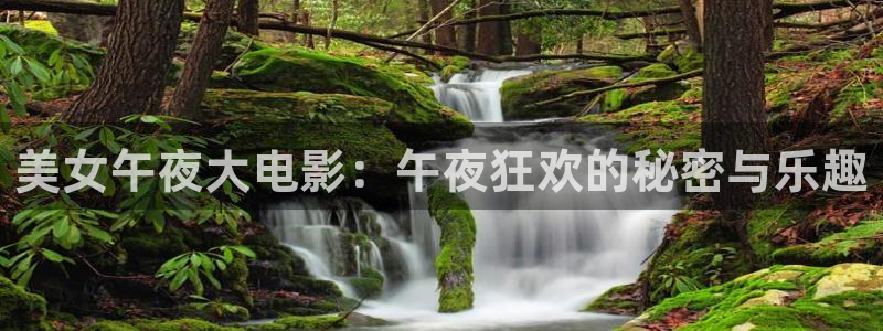 星空影视app最新版本