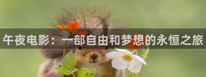 星空传媒影视免费观看