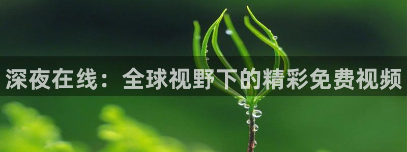 星空视频在线观看完整