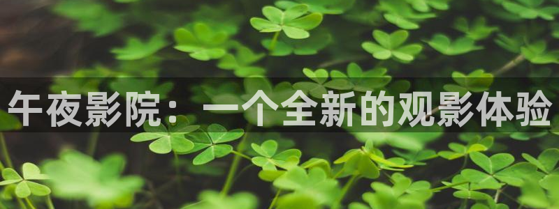 星空视频播放器