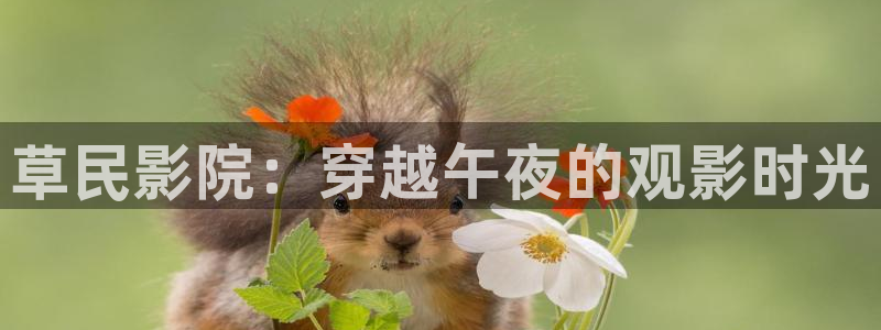 星空影视传媒在线观看