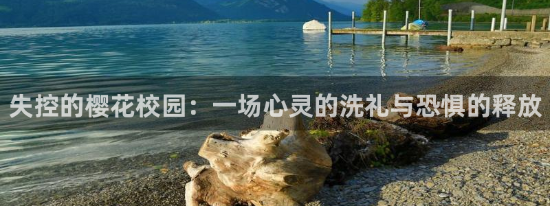麻豆电影怎么免费看电影