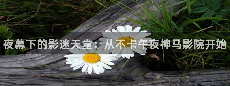 麻豆电影官网下载