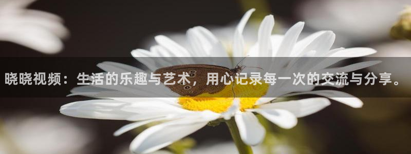 麻豆电影在线观看电影电视剧