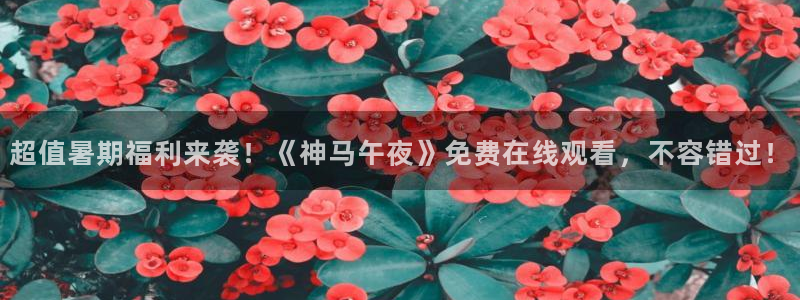 麻豆电影免费看剧