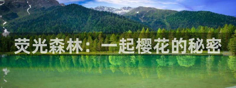 星空书